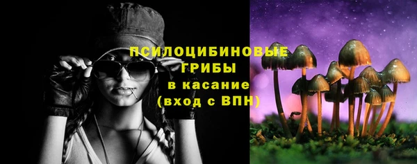 ПСИЛОЦИБИНОВЫЕ ГРИБЫ Дмитровск