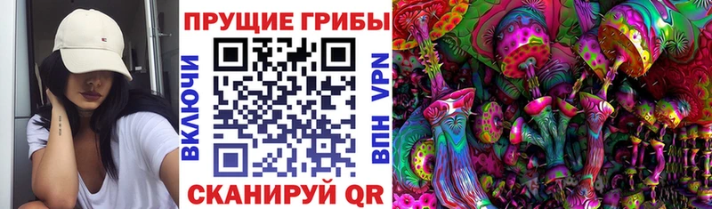 Галлюциногенные грибы Psilocybe  Устюжна 